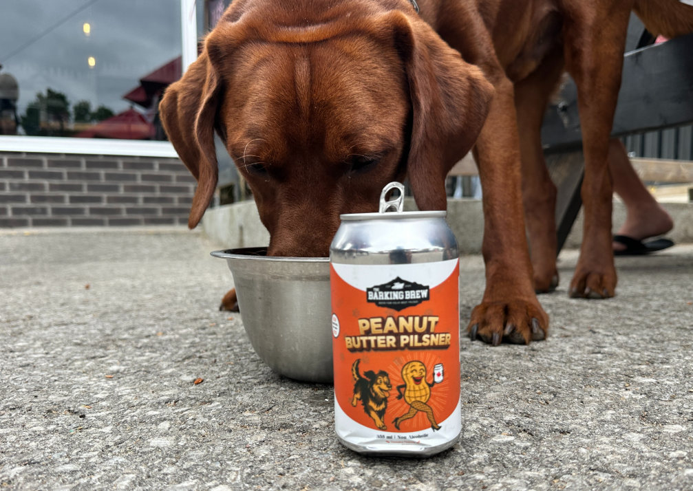 A brown dog drinks from a metal bowl on a sidewalk. In the foreground, a can labeled Barking Brew Peanut Butter Pilsner is set on the ground, with part of a persons foot visible behind the dog.